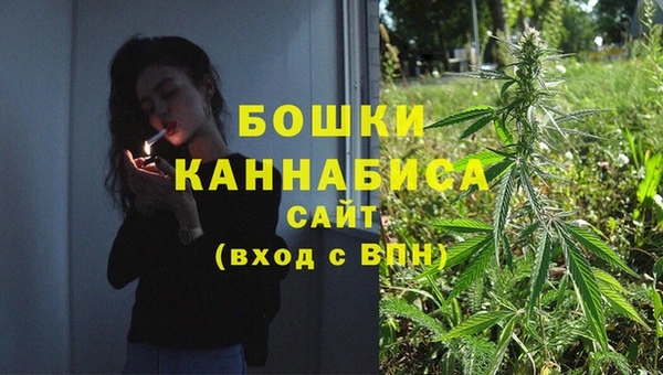 амф Мегион