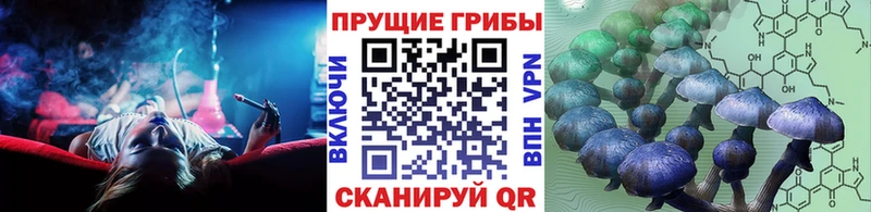 Купить  Новосиль  Галлюциногенные грибы прущие грибы 